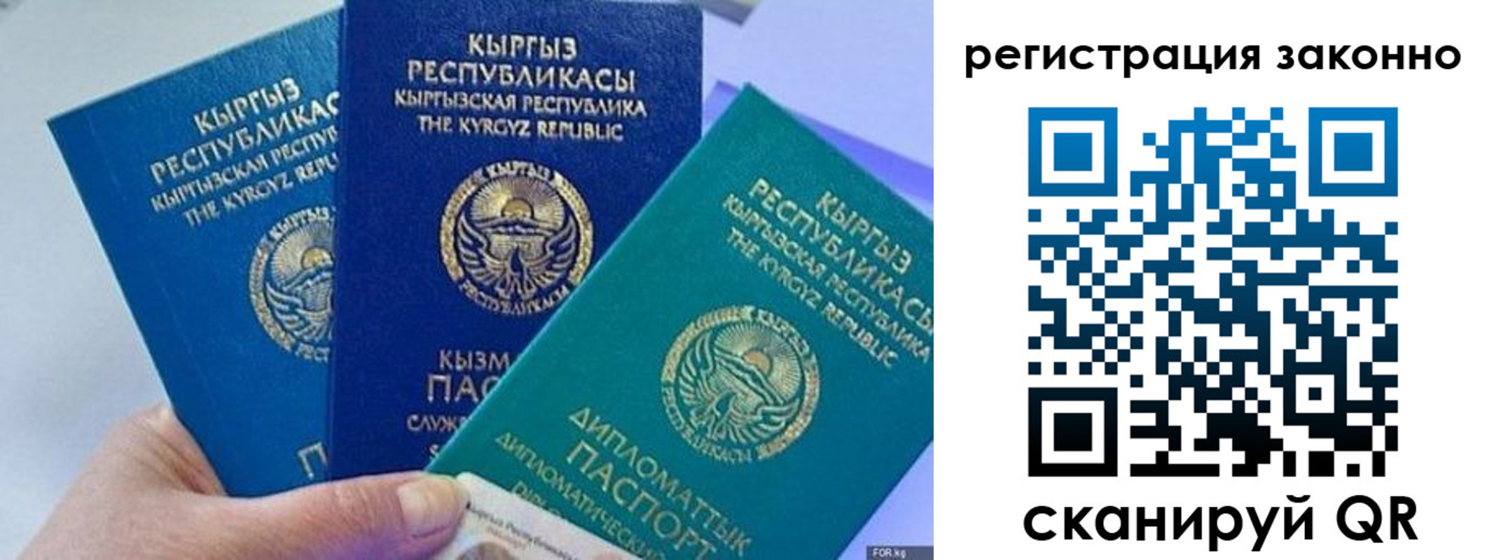 временная регистрация гарантия в Торжоке